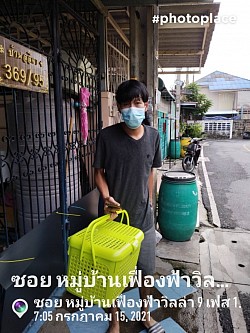 บริการรับน้องแมวจากกรุงเทพฯไปส่งที่จังหวัดสุรินทร์